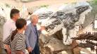 Serracchiani visita il sito paleontologico regionale al Villaggio del Pescatore